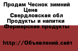 Продам Чеснок зимний › Цена ­ 170 - Свердловская обл. Продукты и напитки » Фермерские продукты   